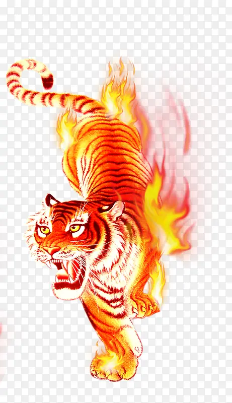 全身带火焰的老虎