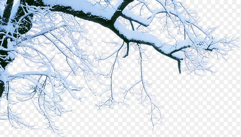 白色创意树枝下雪雪景