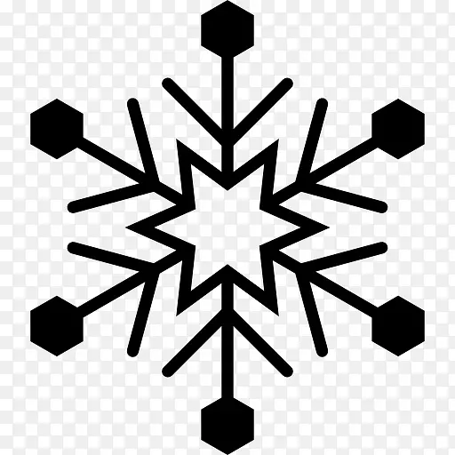 Snowflake 图标