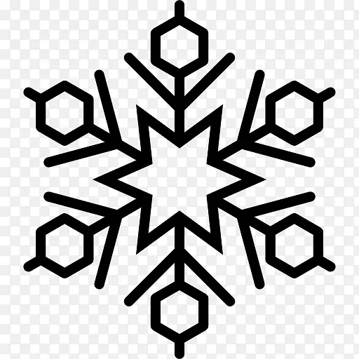 Snowflake 图标