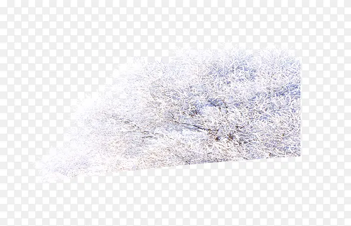 雪地树背景