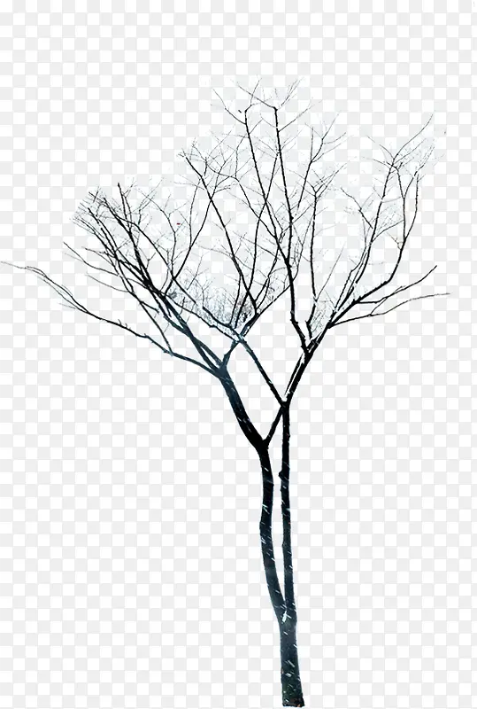 创意合成冬天的树木摄影