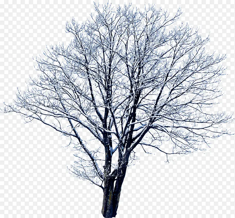 创意合成摄影冬天的树木造型
