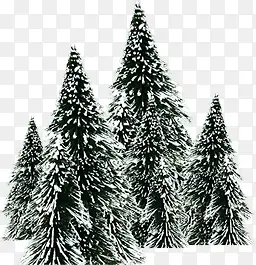 冬天雪树背景素材