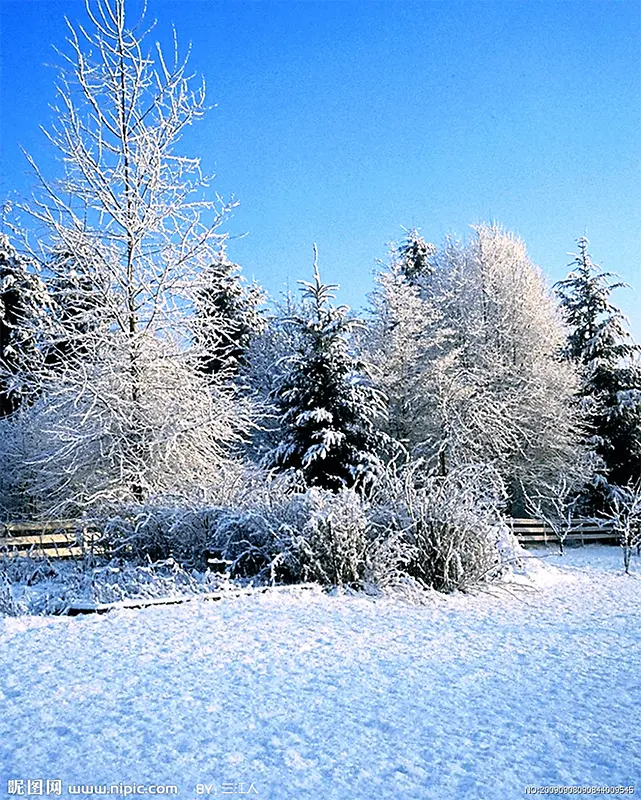 高清摄影合成冬天的森林