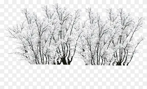高清摄影创意合成树木冬天