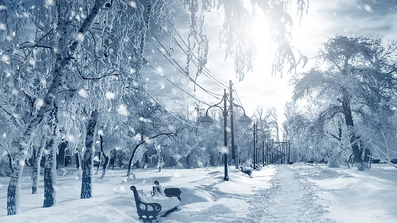 创意摄影合成冬天的森林树木海报