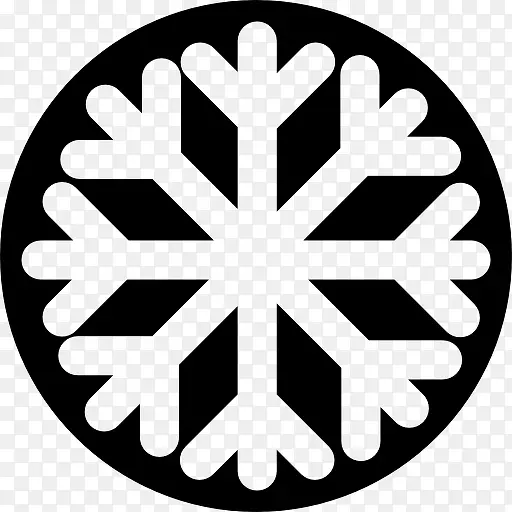 Snowflake Button 图标