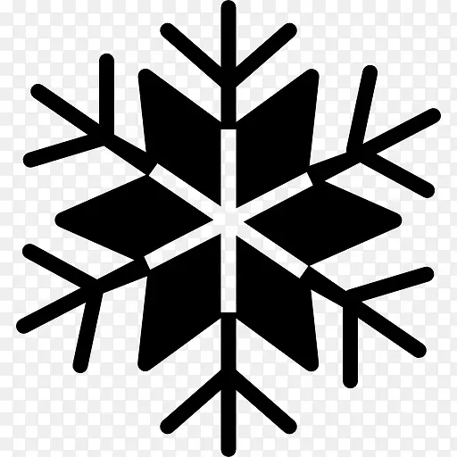 Snowflake 图标PNG图片素材下载_图片编号yemmmgap-免抠素材网