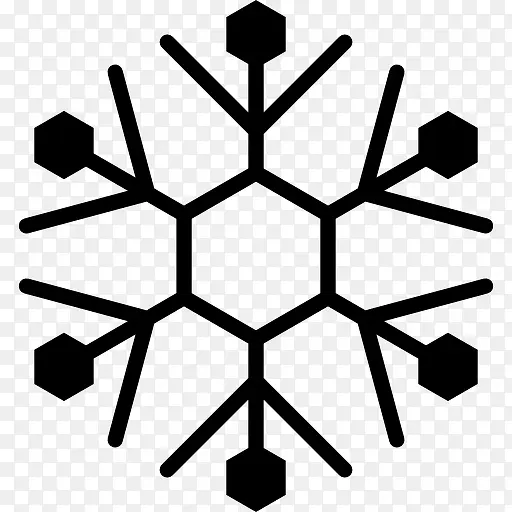 Snowflake 图标