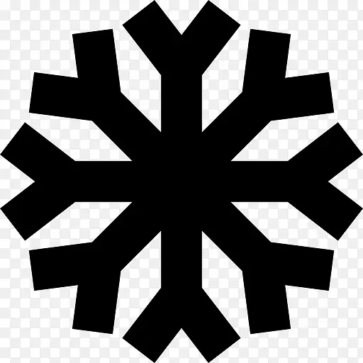Snowflake 图标PNG图片素材下载_图片编号qmjjjxmw-免抠素材网