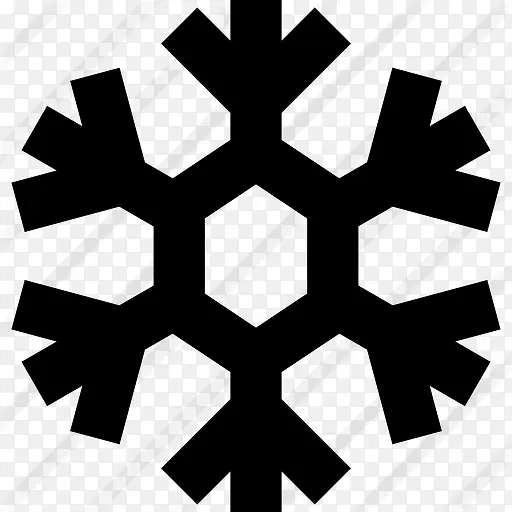 Snowflake 图标PNG图片素材下载_图片编号ygeeezrl-免抠素材网