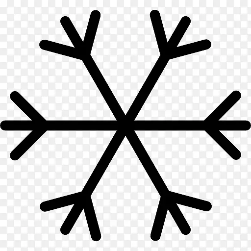 Snowflake 图标PNG图片素材下载_图片编号ydxxxjrz-免抠素材网
