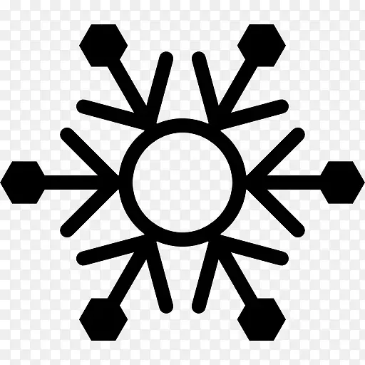 Snowflake 图标PNG图片素材下载_图片编号qdxxxxek-免抠素材网
