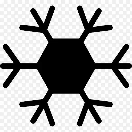 Snowflake 图标PNG图片素材下载_图片编号qjkkkddw-免抠素材网