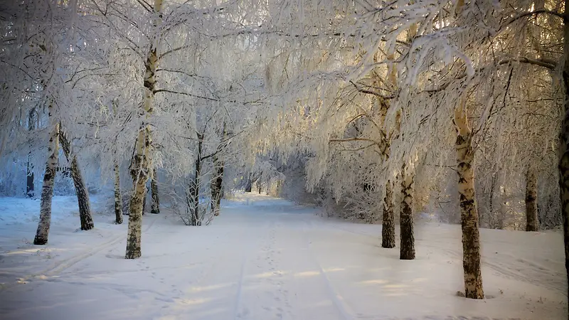 高清摄影冬天的雪花