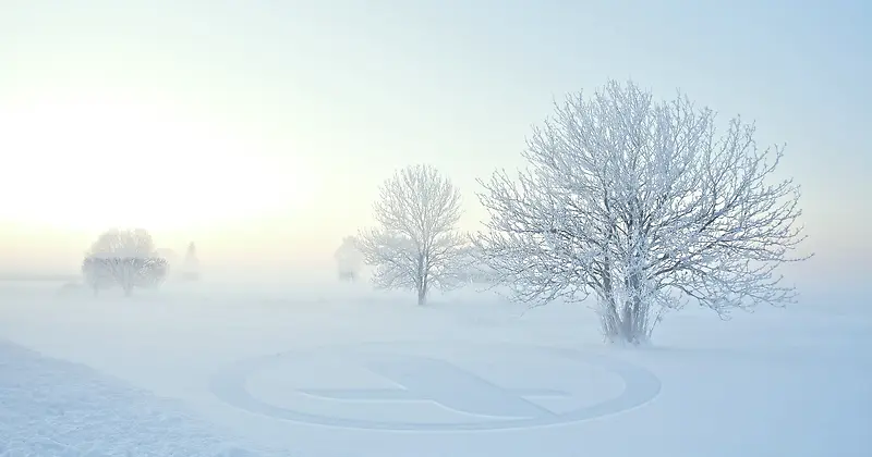 白雪树木冬天雪景