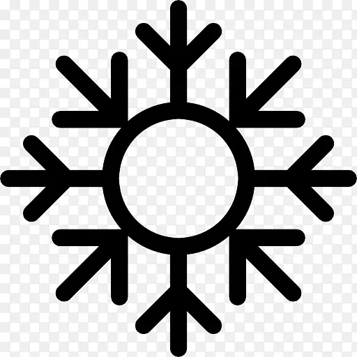 Snowflake 图标PNG图片素材下载_图片编号qrvvvvpn-免抠素材网