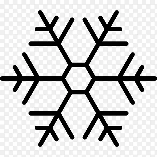 Snowflake 图标PNG图片素材下载_图片编号yxooovxx-免抠素材网