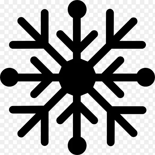 Snowflake 图标