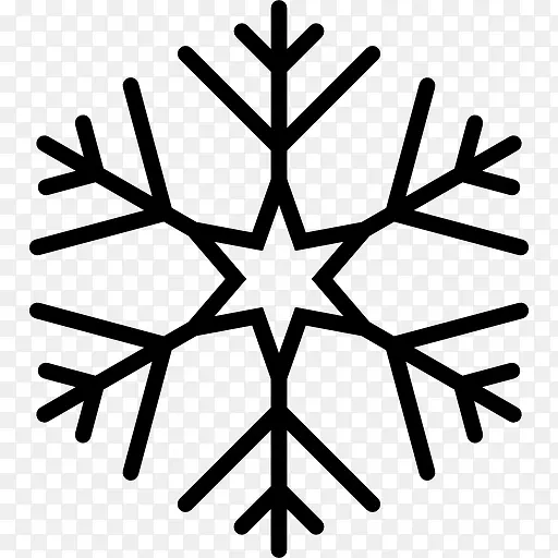 Snowflake 图标