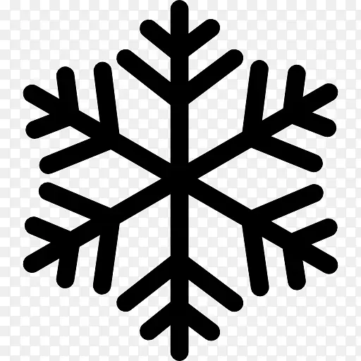 Snowflake 图标PNG图片素材下载_图片编号qnzzzgwv-免抠素材网