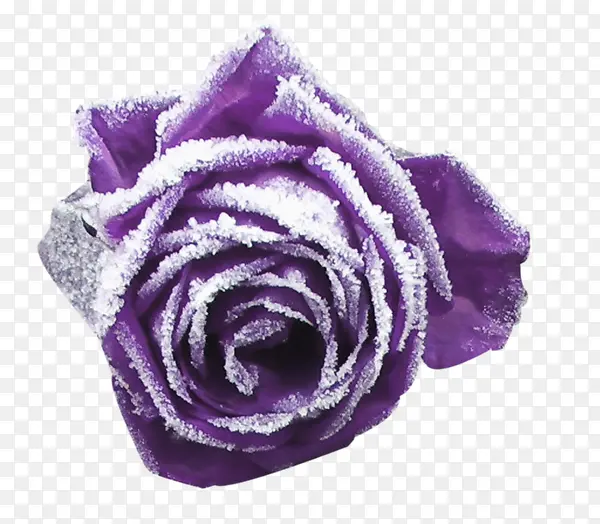 紫色高清雪花装饰