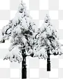 高清创意白色的雪花松树