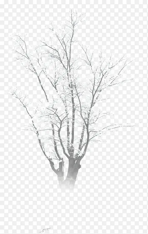 白色雪花设计树木