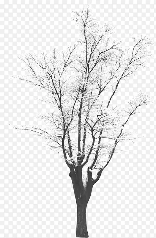 扁平手绘合成白色的雪花树木