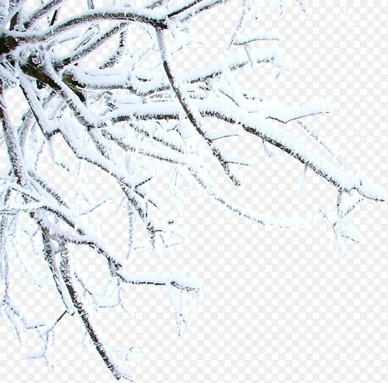合成摄影效果雪花树木
