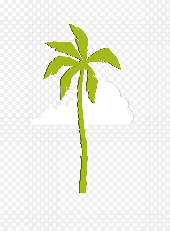 夏日椰子树