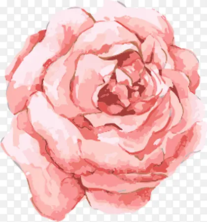 水彩手绘合成粉红色的玫瑰花