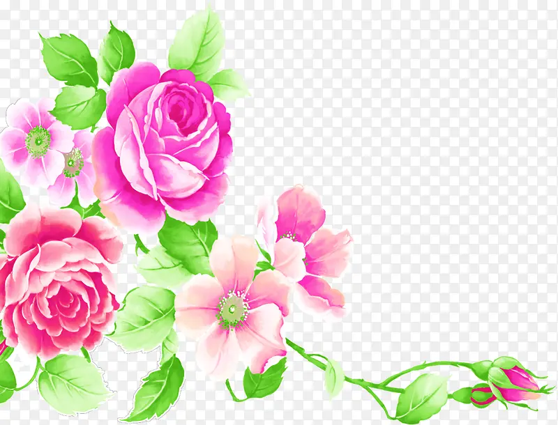 手绘粉红色玫瑰花装饰