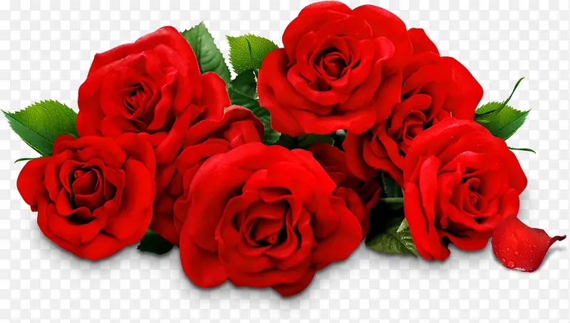 红色玫瑰花婚礼素材