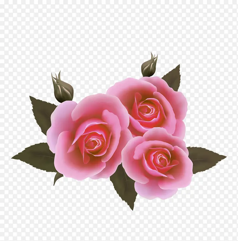 粉红色的三朵玫瑰花