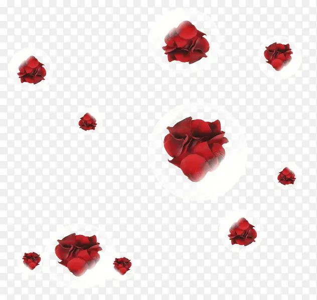 红色玫瑰花气泡玫瑰花装饰