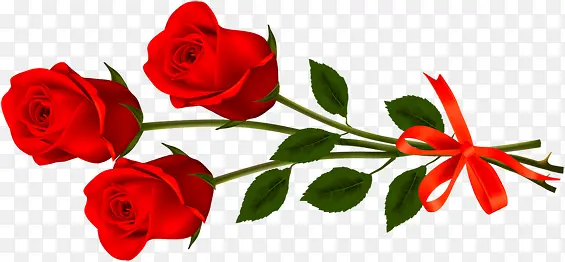 一束红色玫瑰花