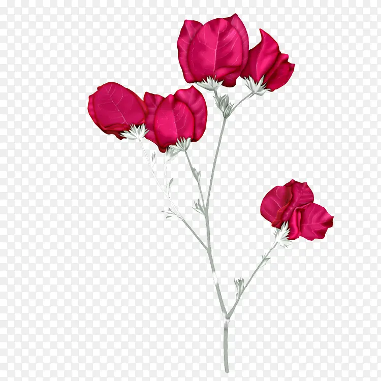 红色玫瑰花花朵装饰图片