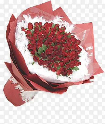 红色浪漫玫瑰花