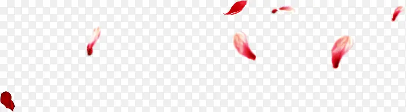 手绘红色漂浮花瓣玫瑰