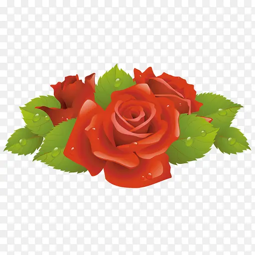 红色玫瑰素材图