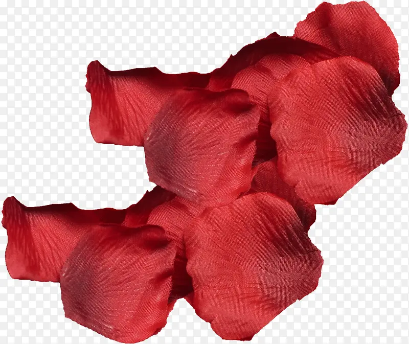 红花瓣