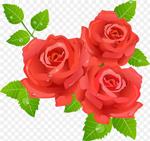 情人节红玫瑰矢量装饰