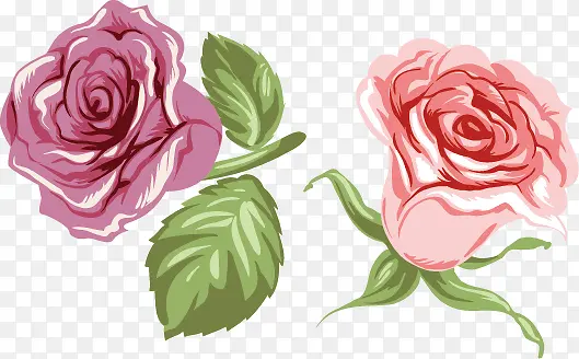 红色的玫瑰和粉色的玫瑰