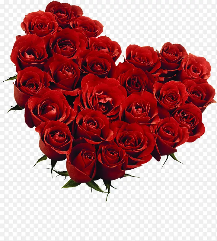 鲜艳红色玫瑰爱心