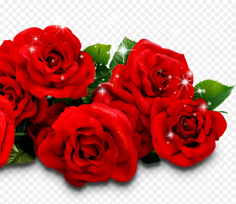 星光红色玫瑰花束