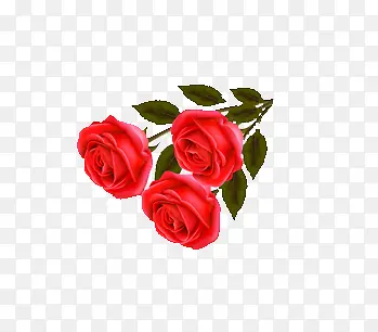 三朵红玫瑰
