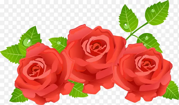 情人节红玫瑰矢量装饰