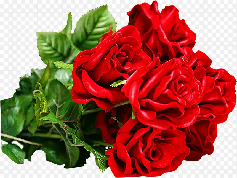 珠光红色玫瑰七夕情人节